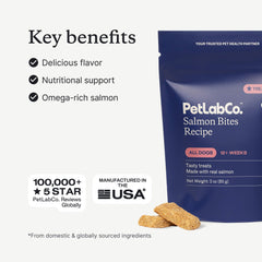 Salmon Bites