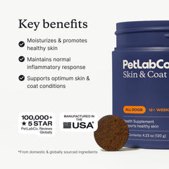 Skin & Coat Chews