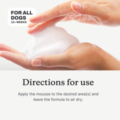 Skin & Coat Mousse