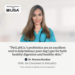 Probiotic Chew