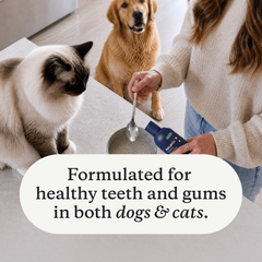 Dental Formula