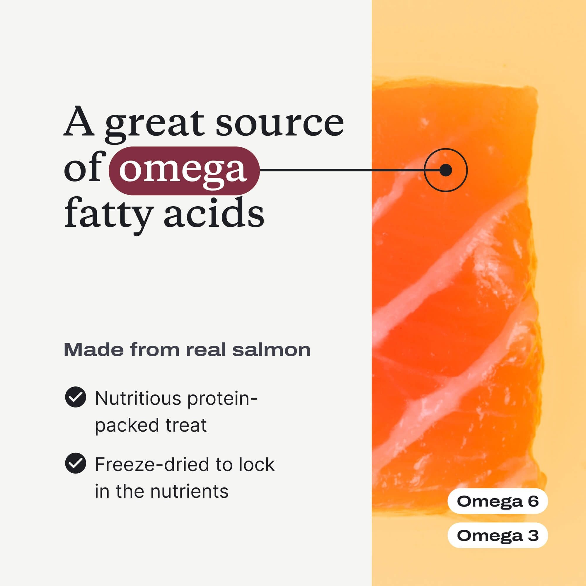 Wild Caught Salmon Bites