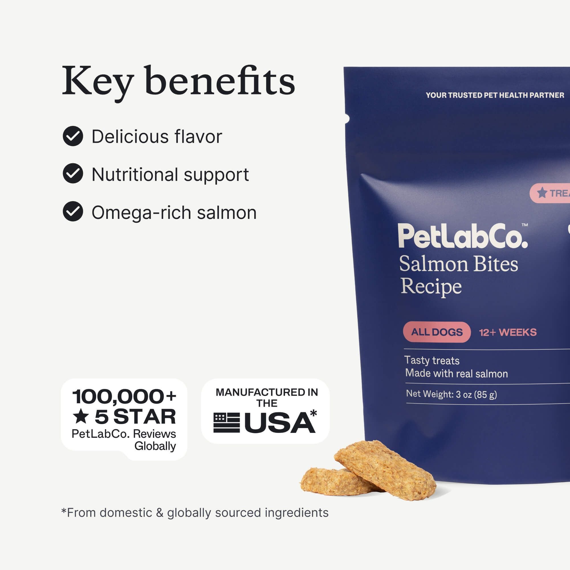 Salmon Bites