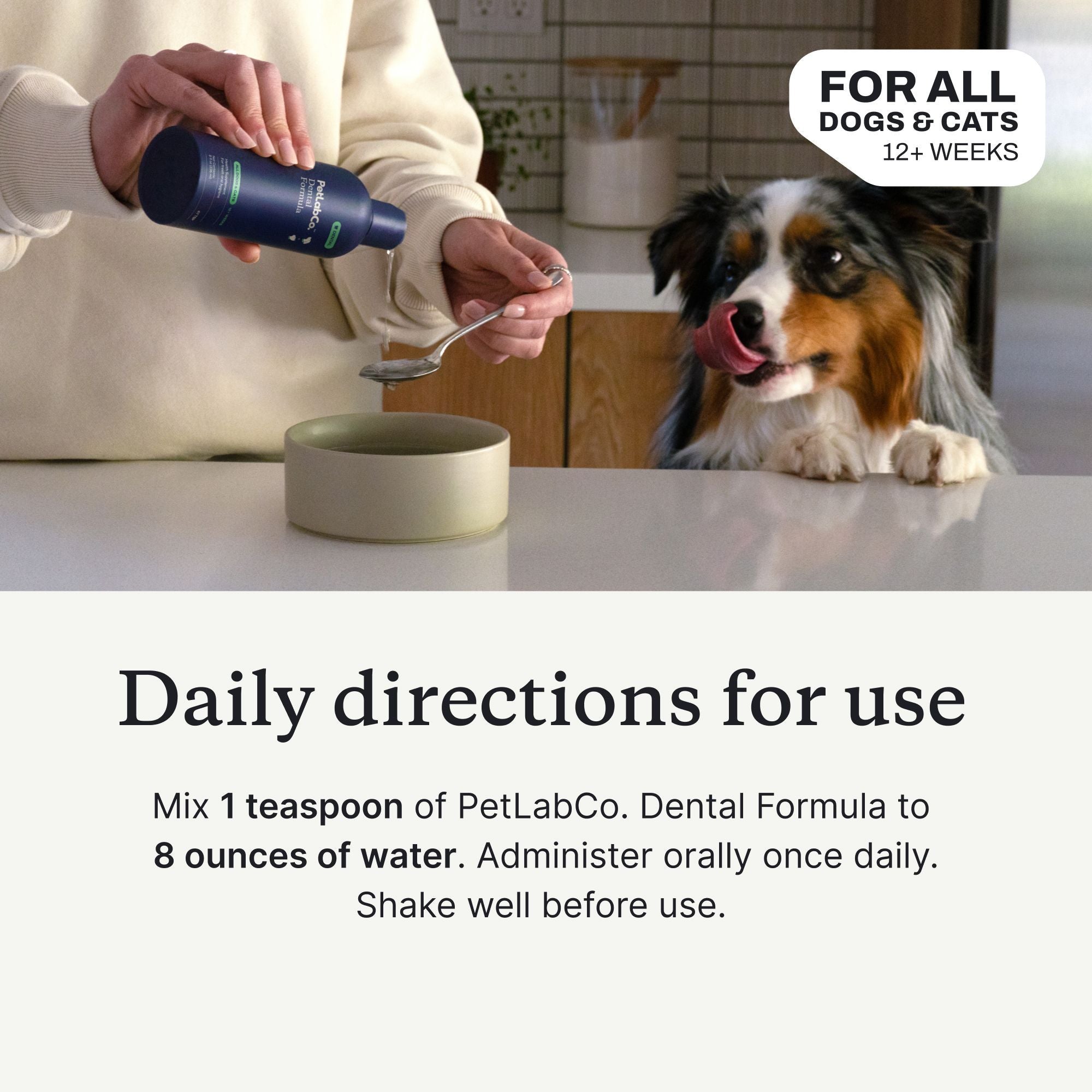 Dental Formula