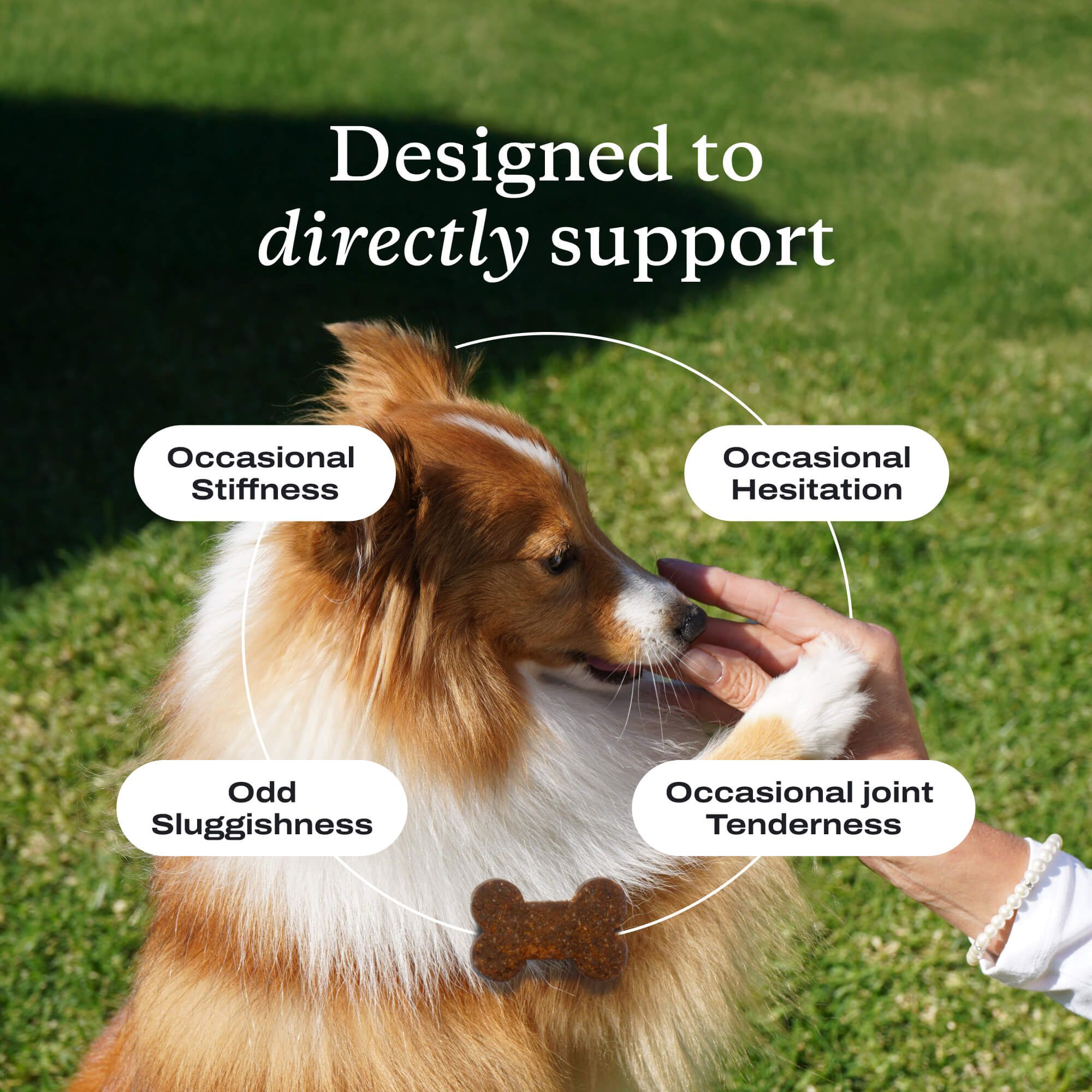 Joint Care Chews