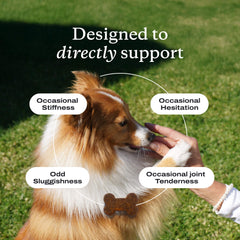 Joint Care Chews
