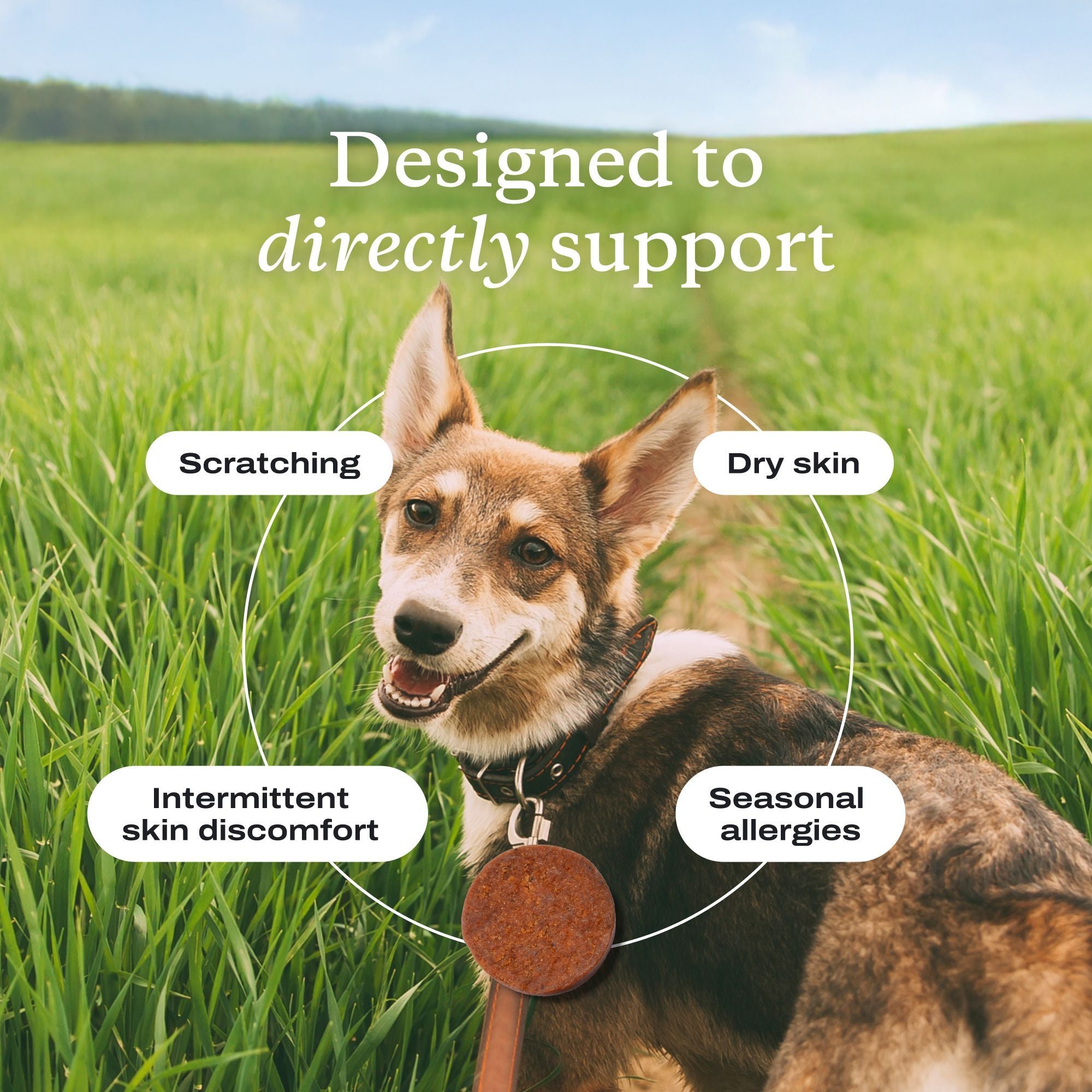 Itch Relief Pro Chew