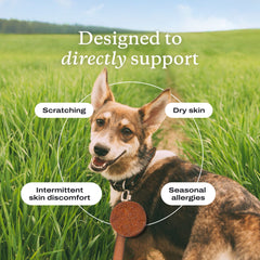 Itch Relief Pro Chew