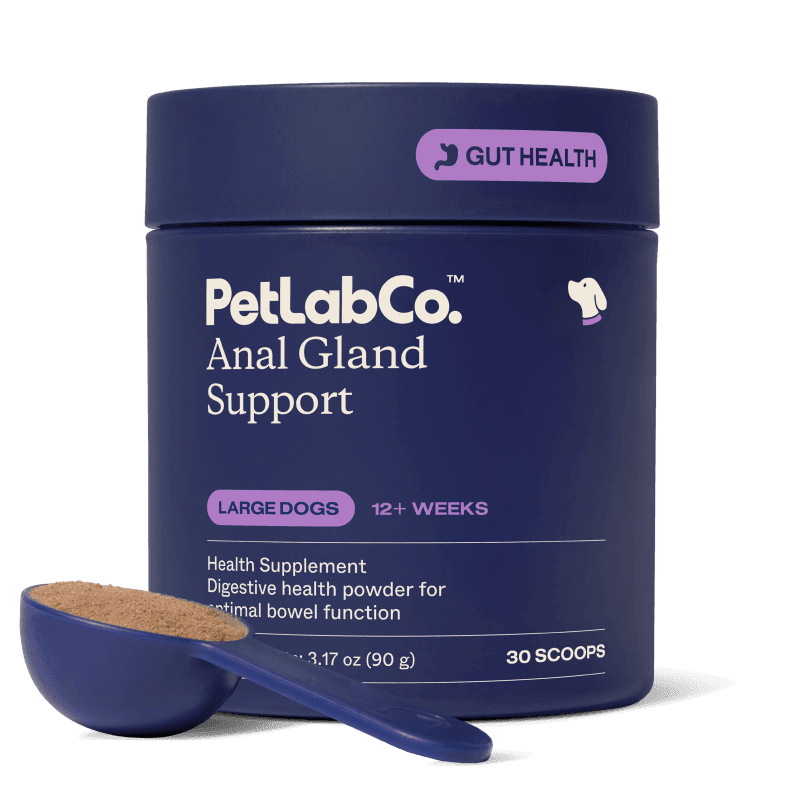 Anal Gland Support - Large