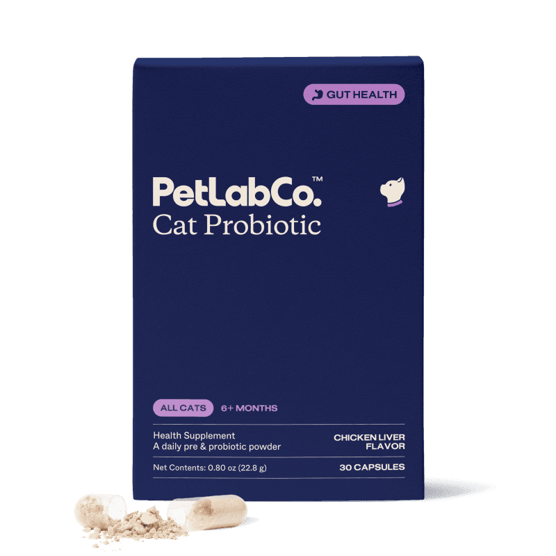 Probiotics for Cats
