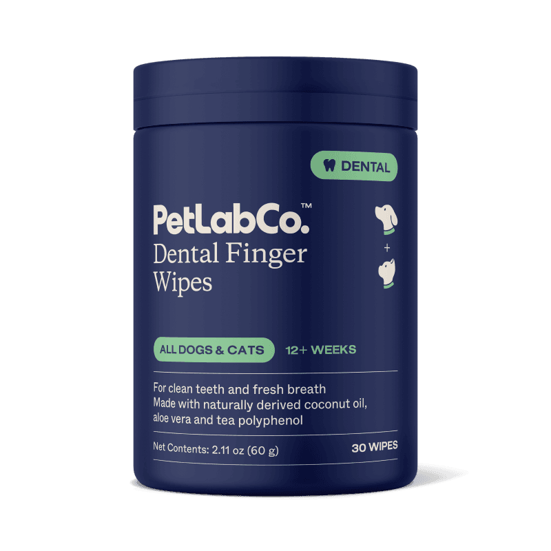 Dental Finger Wipes
