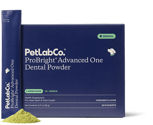 ProBright® Advanced One - Large