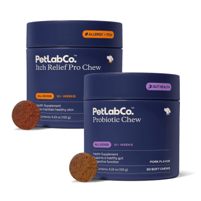 Dog Itchy Skin Bundle
