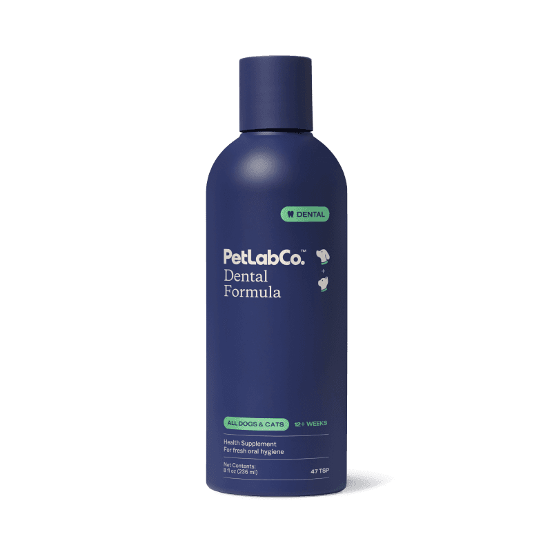 Dental Formula