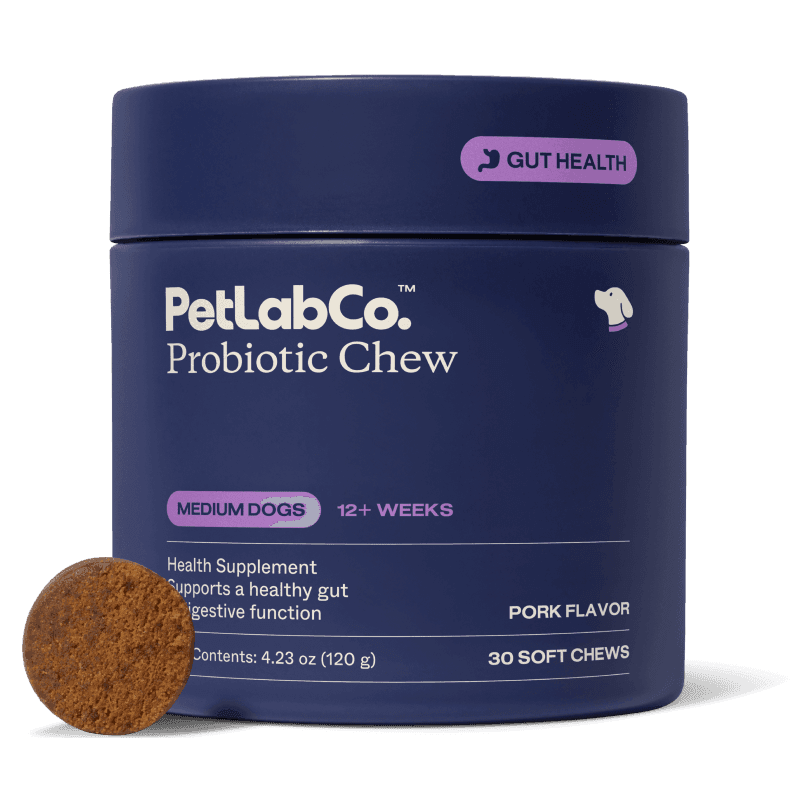 Probiotic Chew