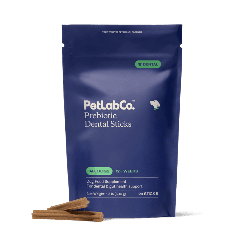 Prebiotic Dental Sticks (24 Sticks)