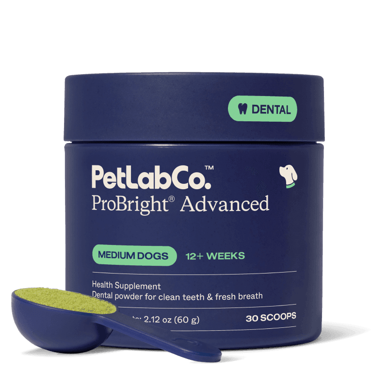 ProBright® Advanced - Medium