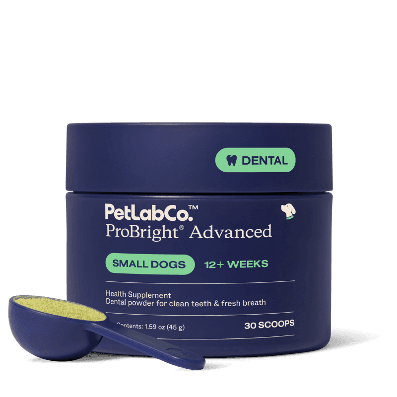 ProBright® Advanced - Small