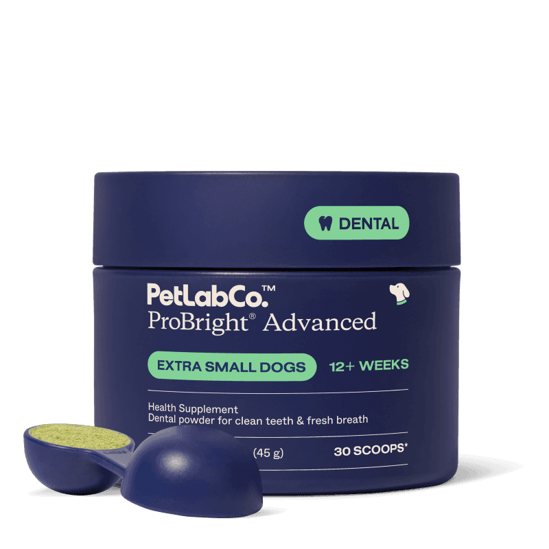 ProBright® Advanced - Extra Small