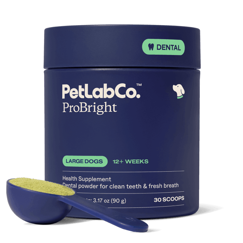 ProBright® - Large