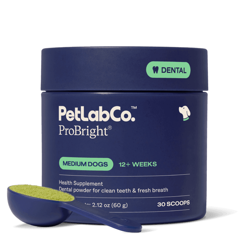 ProBright® - Medium