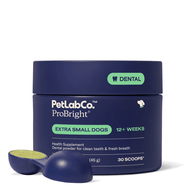 ProBright® - Extra Small