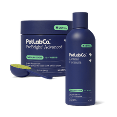 Advanced Dental Duo - Medium