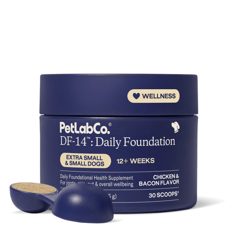DF-14™ Daily Foundation - Extra Small