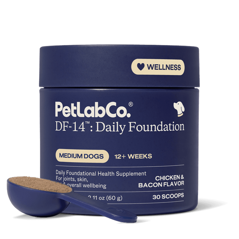 DF-14™ Daily Foundation - Medium